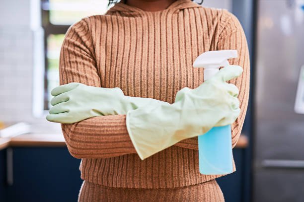 Professional Cleaning Services